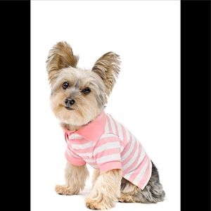 NWT Adorable Stinky G Pink Stripe Dog Polo Shirt